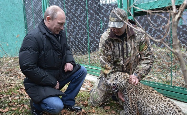 Путин влезе в клетката на леопард