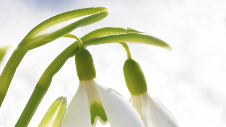  Дневен хороскоп за петък, 1 март 