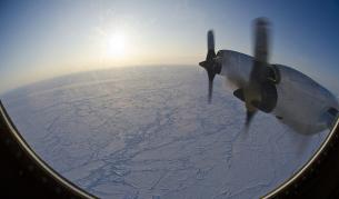 Топенето на леда в Арктика открива пътища за микробите