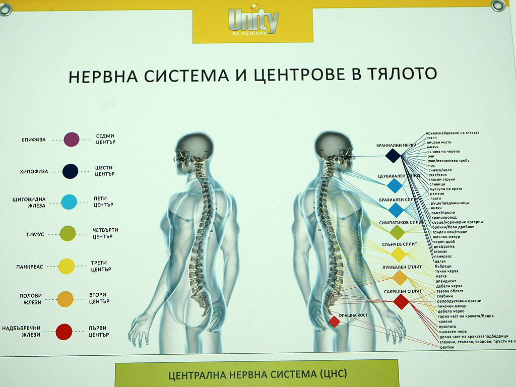 Официално откриване на Академия Юнити - център за неформално обучение по езици, изящно, приложно, театрално и музикално изкуство за деца и възрастни, както и на център за холистична грижа за здравето.