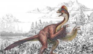 Откриха фосили от динозавър, приличал на гигантска кокошка