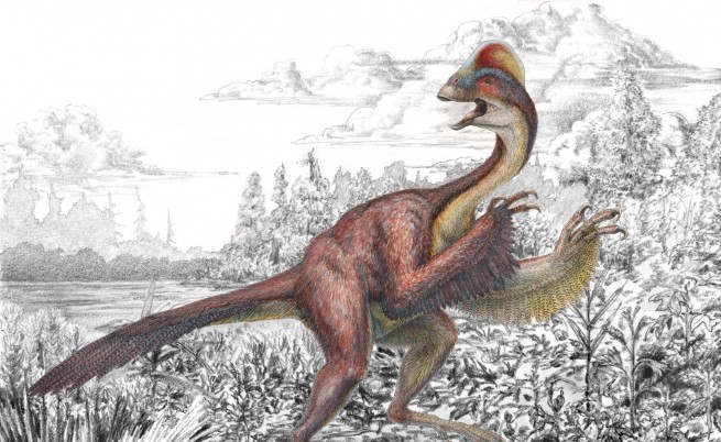Откриха фосили от динозавър, приличал на гигантска кокошка