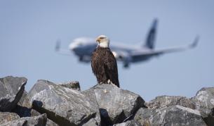 Биолог: Природата вдъхновява научните постижения