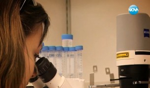 Откритията на българка дават надежда за болни от рак