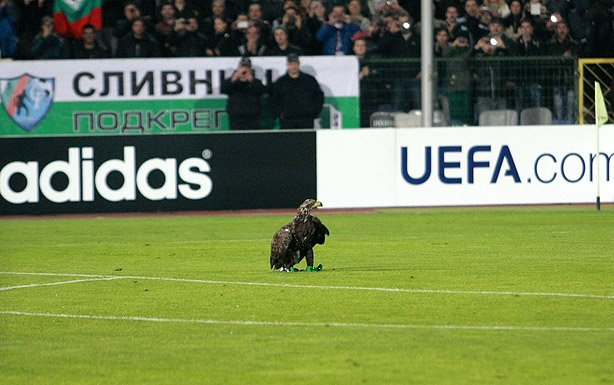 Публиката на Лудогорец Валенсия1