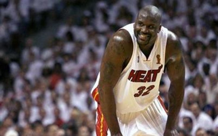 Шак на война с килограмите