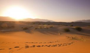 Пустините поглъщат въглероден диоксид