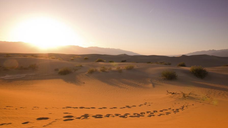 Пустините поглъщат въглероден диоксид