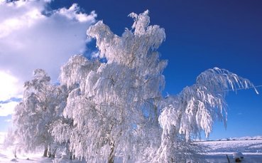 Синята зима ще свърши през май