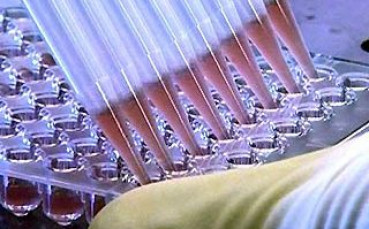 В Пекин ще действа лаборатория, определяща пола на спортистите