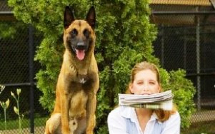 Заглавията в деня на шегата