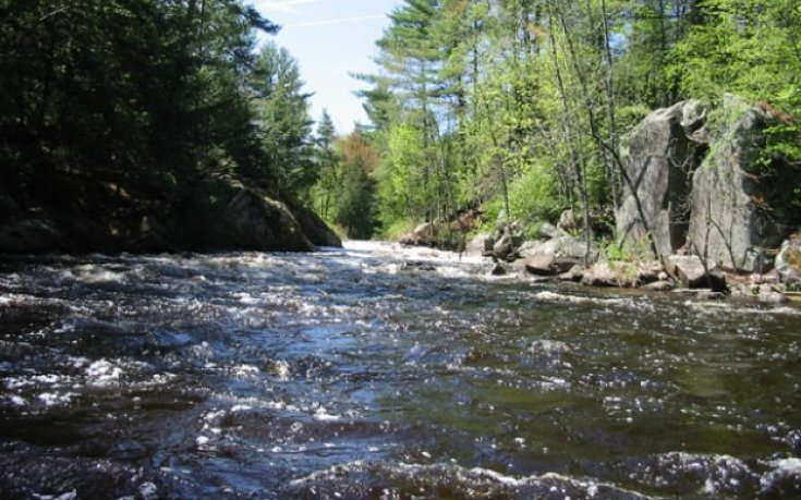 Локо София вади топка от реката