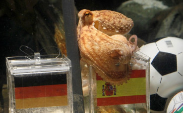 Премиерът на Испания ще спасява Паул