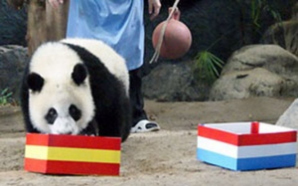 И тайландска панда предрече световна титла за Испания