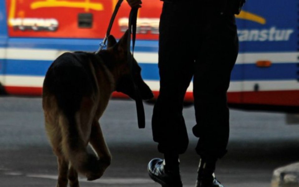 ВИДЕО: Полицейско куче нахапа футболист в Бразилия
