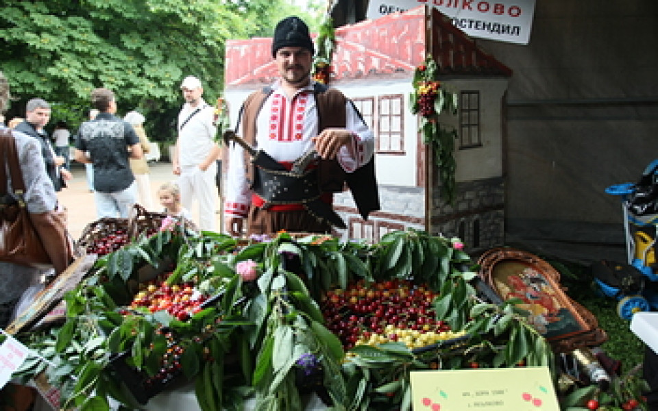 Празник на черешата в Кюстендил