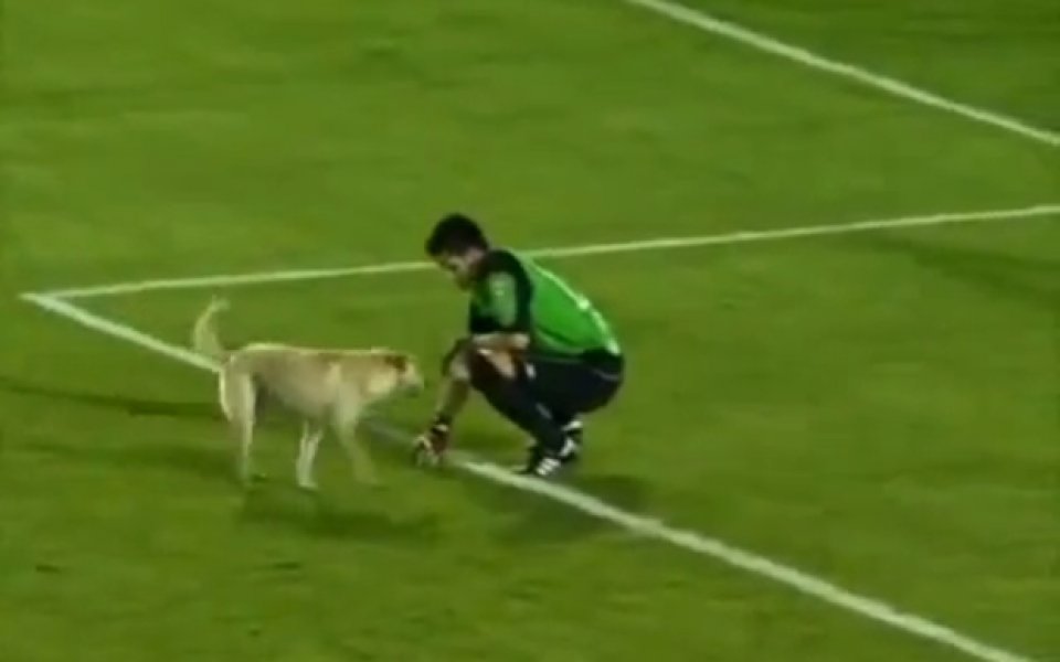 ВИДЕО: Куче нахлу на терена и спря мач за Копа Судамерикана