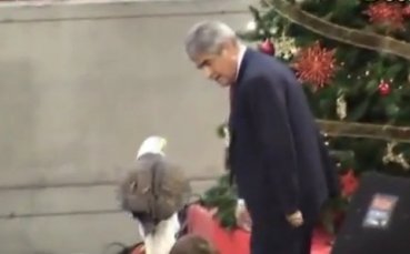 ВИДЕО: Живият талисман на Бенфика нападна боса на тима