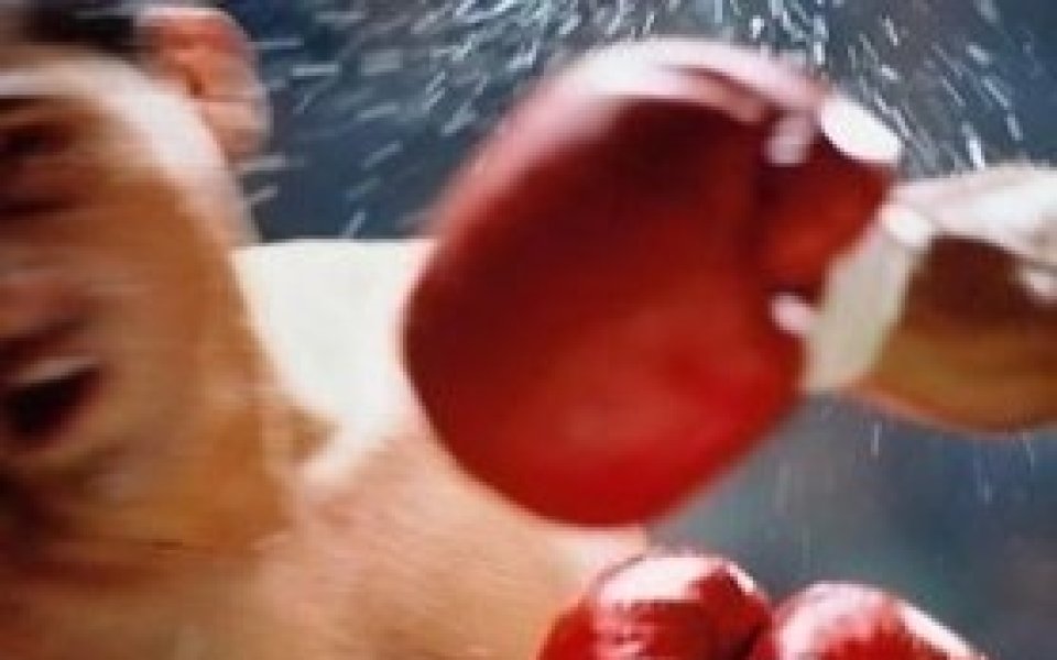 Робърт Гереро спечели титлатан в полусредна категория на Световния боксов съвет