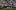 ВИДЕО: Ман Сити грабна Къмюнити Шийлд след лесна победа над 10 от Челси