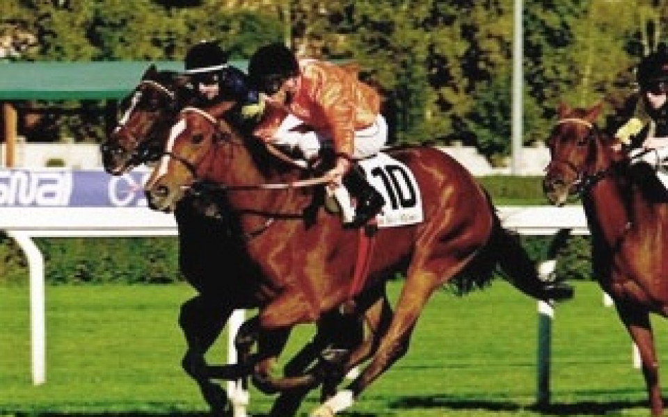 Расов кон на Литекс е сензация в Германия, печели Grand Prix на Мюнхен