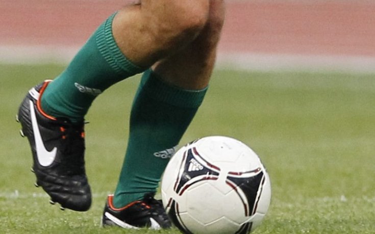 СНИМКА: В Бразилия избраха броненосец за талисман на Мондиал 2014