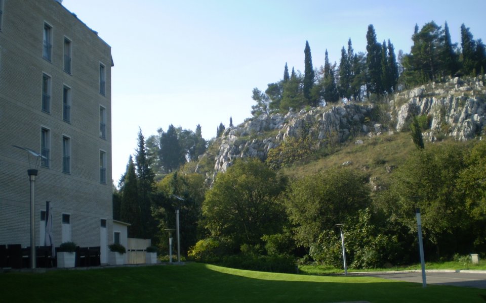 „Студентите” настанени в зелен оазис