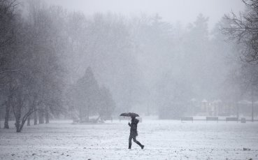 БФС: Няма да има отлагане на мачовете за Купата, ЦСКА има време до сряда