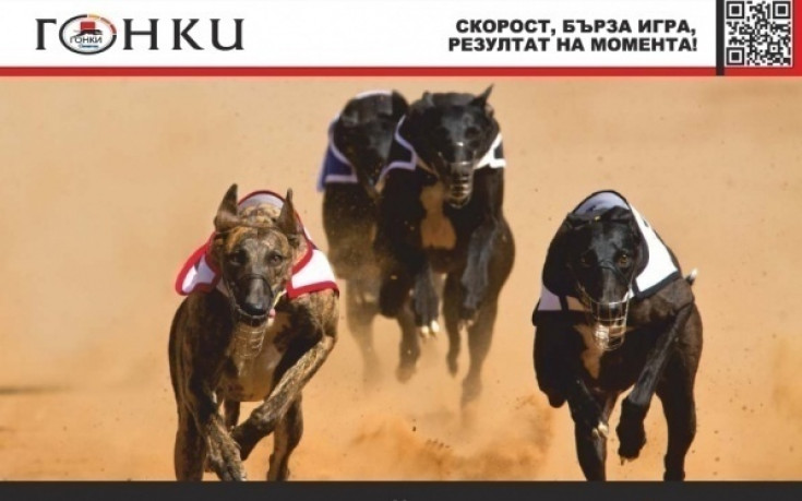 Пловдивски пункт на Еврофутбол обра печалбите от гонки