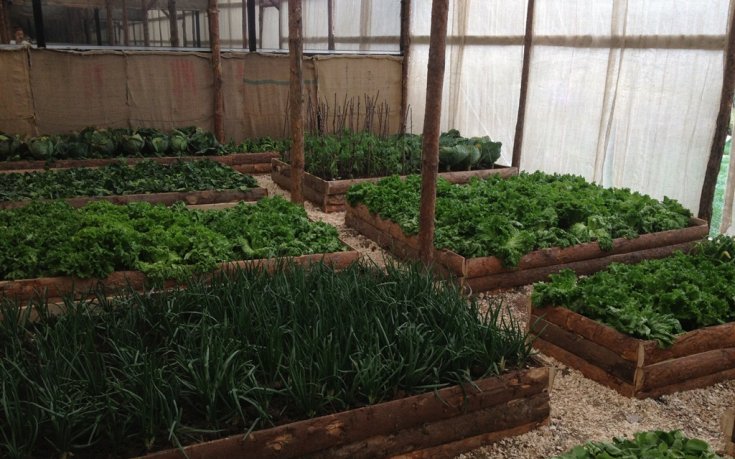 СНИМКИ: НБА звезда влиза в родно риалити, вижте къде ще живее Родман