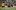 ВИДЕО: Ботев надигра Локо, но пловдивското дерби завърши без голове