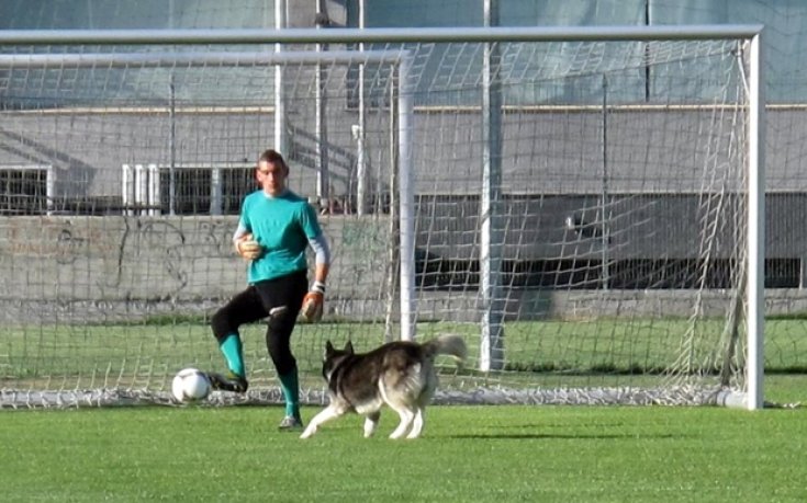 СНИМКИ: Черно море тренира на "Герена", в заниманието се включи и Хектор