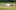 СНИМКИ: Тенисистите недоволни от тревата на Уимбълдън