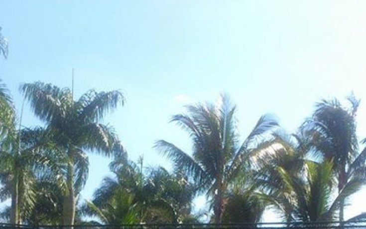 Диа пожела късмет и кураж на момичетата ни на Фед Къп