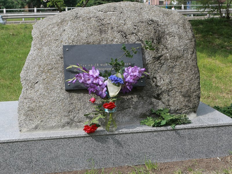 Фенове на Левски1