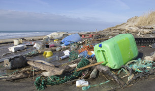 Пластмасовите боклуци образуват нов вид скала