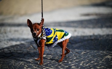 Gulliver/Getty Images