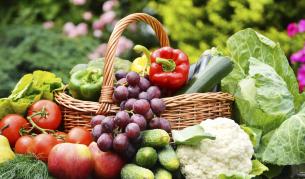 Колко плодове и зеленчуци от ЕС внася Русия