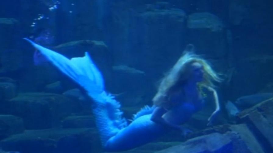 Малката русалка оживява в аквариум в Париж
