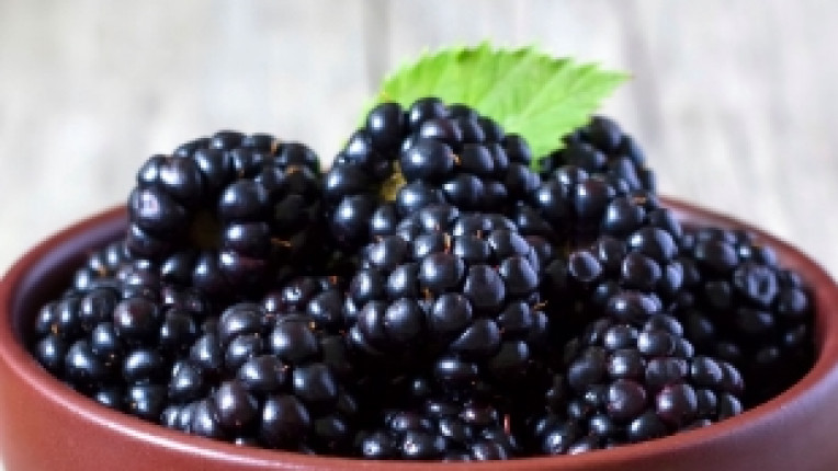  Правилните плодове, които да хапвате, до момента в който сте на диета 