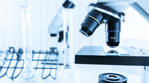 „Зомби червей“ беше размразен след 24 000 години и започна да се размножава