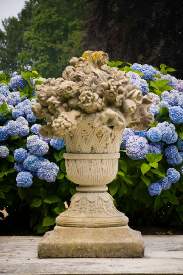 Прелестни хортензии - снимка 14