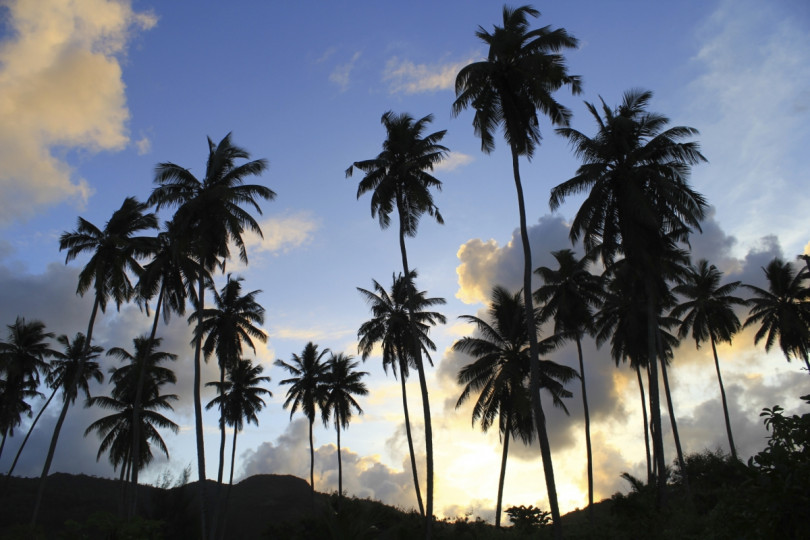 Сейшели имат най-малкото население от суверенните страни в Африка.