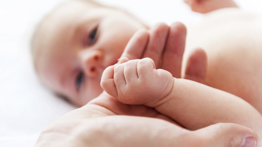 Синодът осъди наредба за недоносените бебета