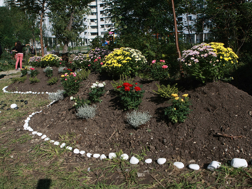 Градината се намира на ул. "Проф. Георги Златарски", в местността Юзината