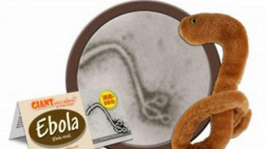 В САЩ продават плюшени играчки с формата на ебола