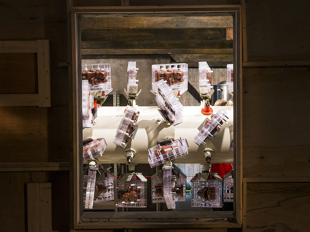 Форми с шоколад се въртят на машина по време на артистичната проява "Шоколадова фабрика" в Монетния двор в Париж, Франция