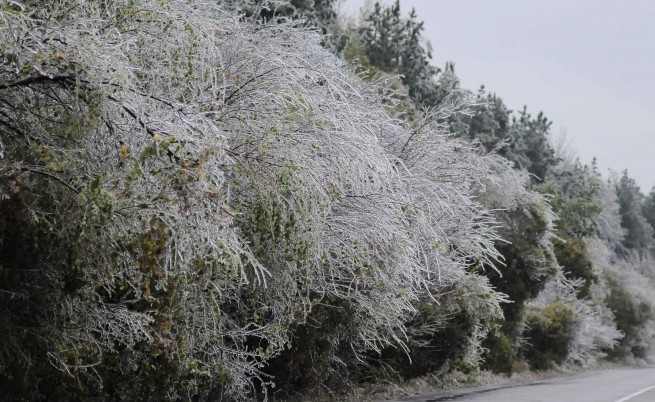 Вятърът достигна до 100 км/ч в Ловеч, седмицата почва със слаб сняг