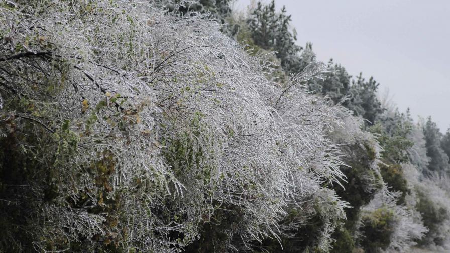 Най-много сняг падна във Велико Търново - 31 см