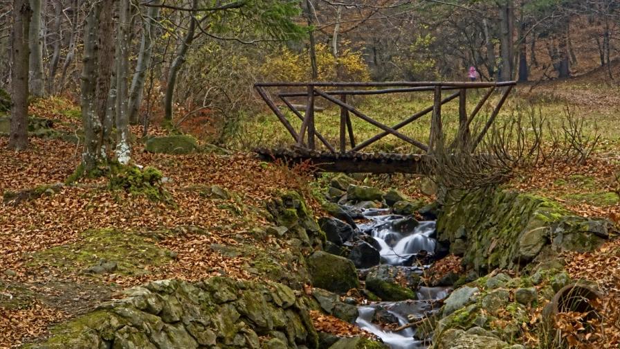 Природен парк "Витоша" става на 80 години
